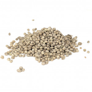 Toasted Hemp Seeds Coated in Vanilla and Cinnamon