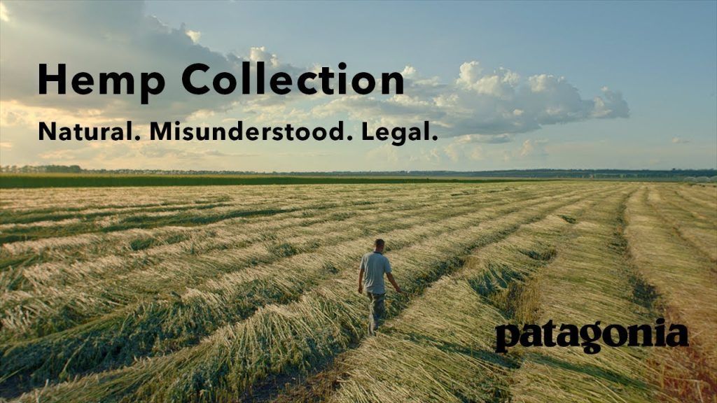 hemp-blog-3