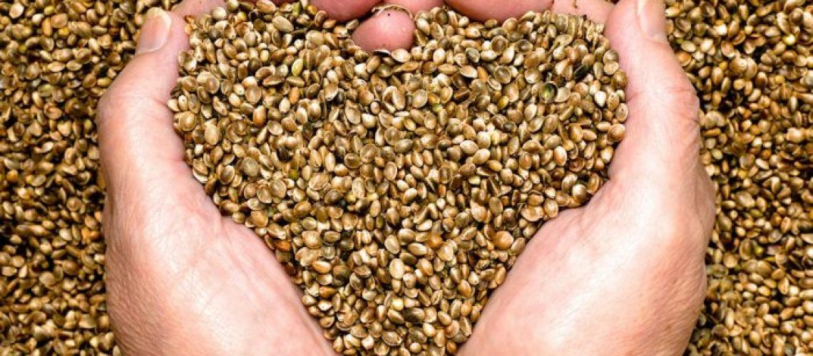 Hemp Seeds for Heart Health